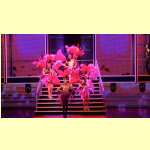 entertain18224.jpg